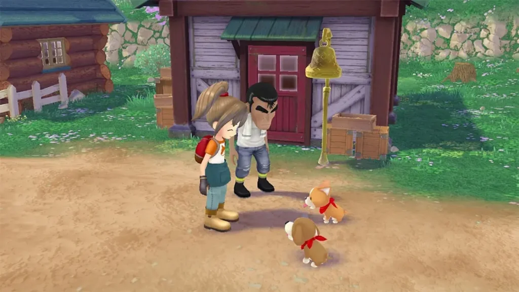 Story of Seasons A Wonderful Life Switch NSP Full Game